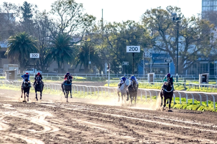 El turf se sumó a la fiesta del deporte en Rosario